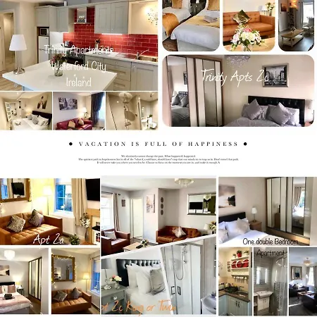 Trinity Four 1-bedroom Apts Centre * Waterford