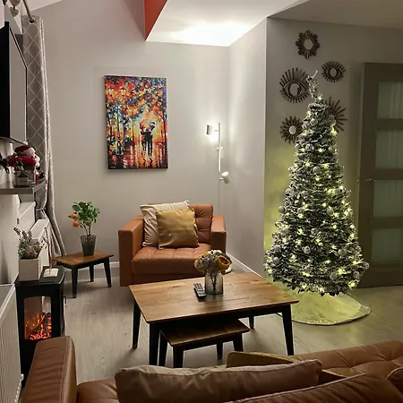 Trinity Four 1-bedroom Apts Centre Waterford