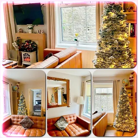 Trinity Four 1-bedroom Apts Centre Waterford