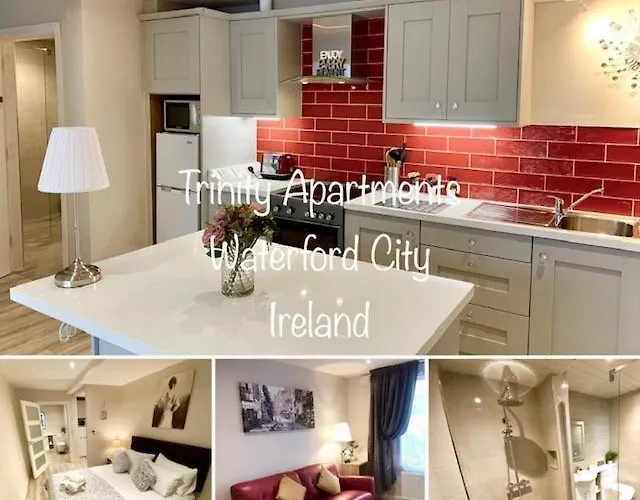 Trinity Four 1-bedroom Apts Centre * Waterford