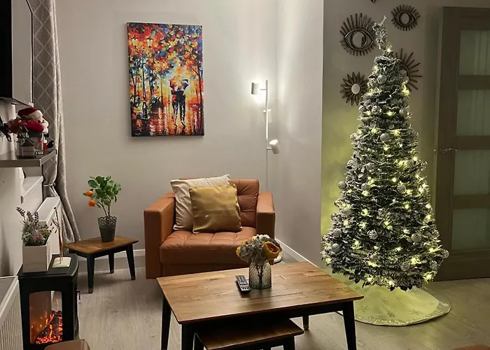 Trinity Four 1-bedroom Apts Centre Waterford